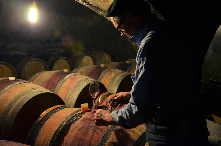 Vinification domaine de Saliès