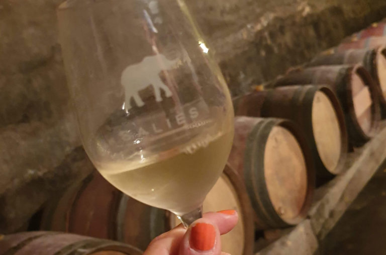 cave-vinfication-domaine-de-salies