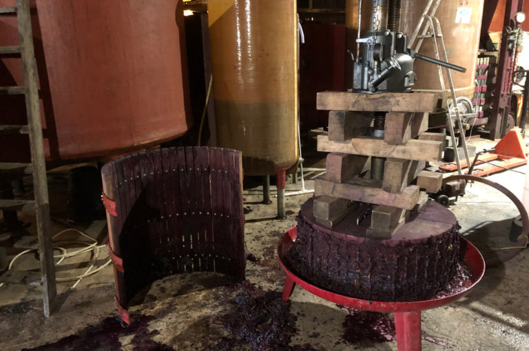 cave-vinification-domaine-de-salies